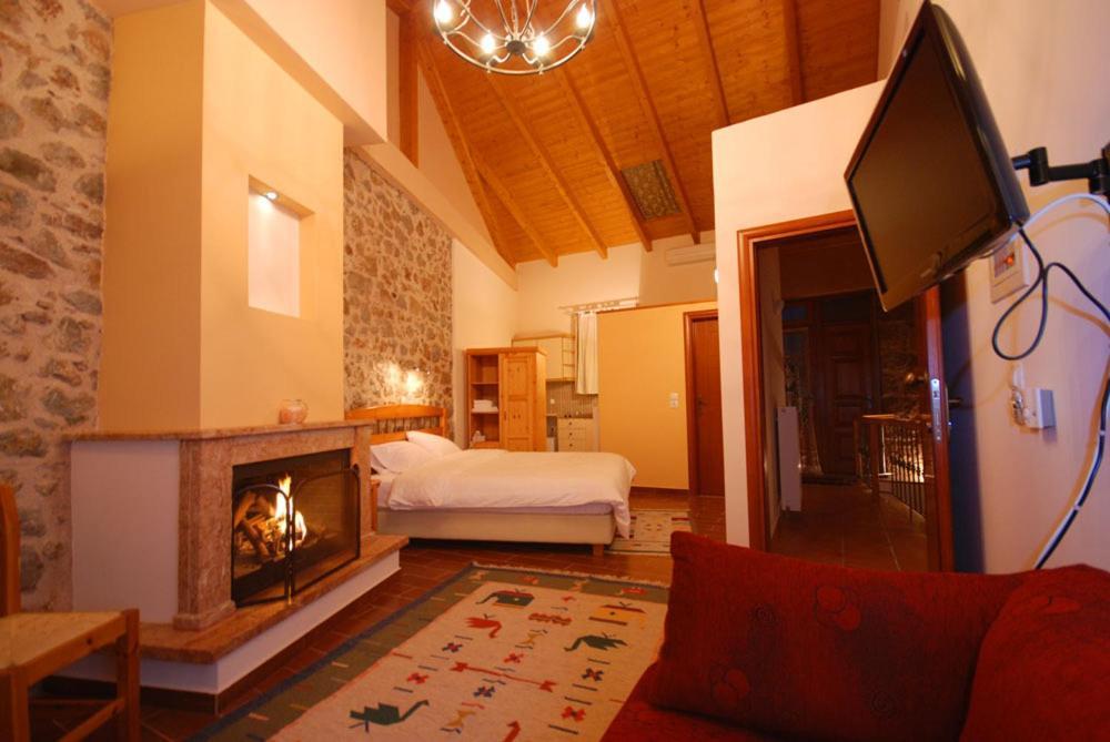 Hotel Parnassos Arachova Extérieur photo